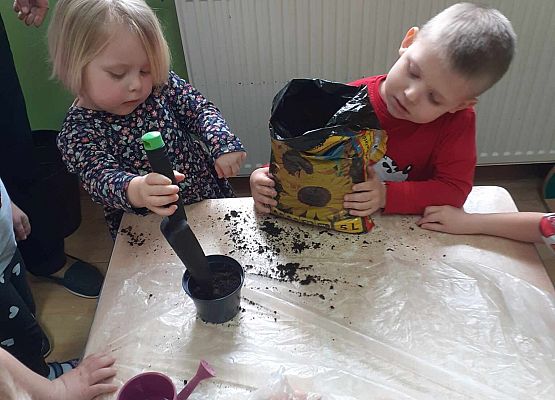 Młodsza grupa przy pracy