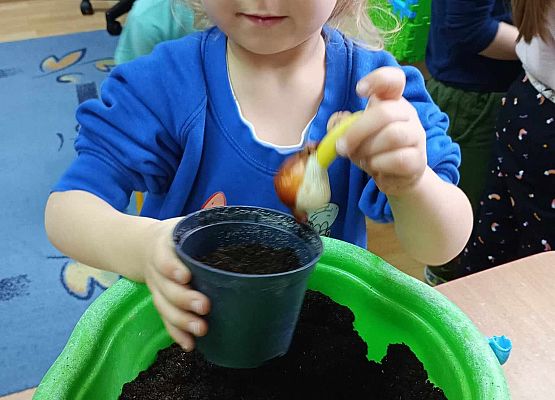 Starszaki przy pracy