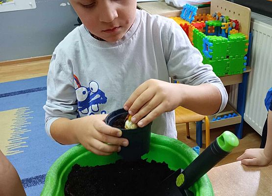 Starszaki przy pracy