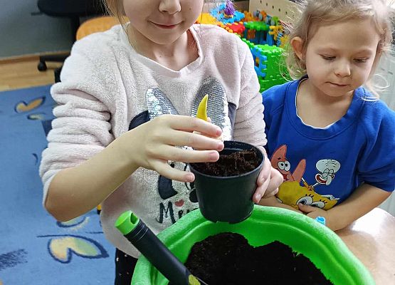 Starszaki przy pracy