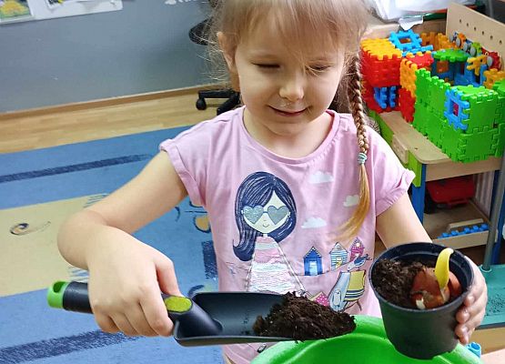 Starszaki przy pracy