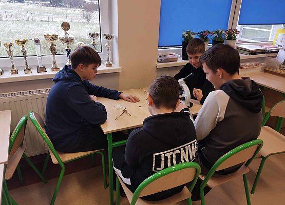 Grafika 12: Warsztaty przyrodnicze