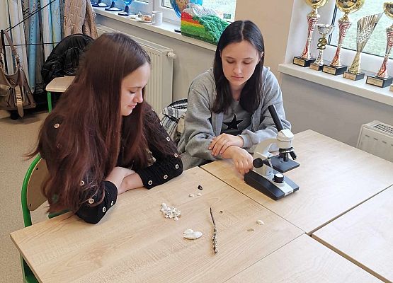 Grafika 10: Warsztaty przyrodnicze