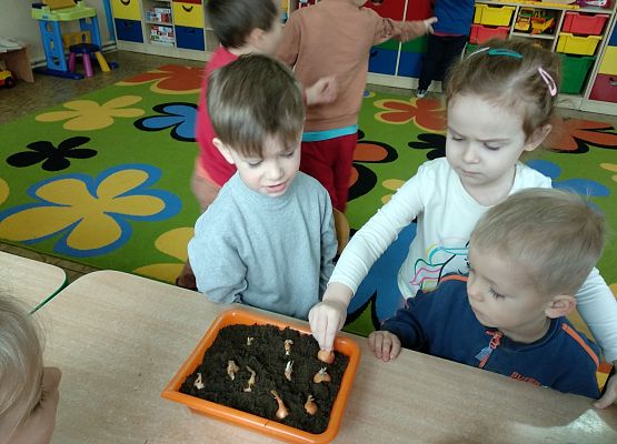 Grafika 3: WIOSNA W PRZEDSZKOLU