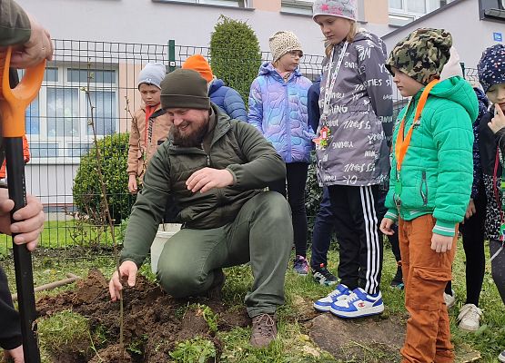 Sadzenie drzew miododajnych- robinii akacjowej.