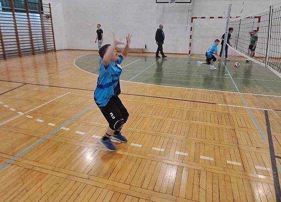 Grafika 3: Single w Malborku