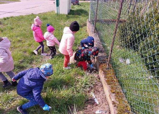 Grafika 2: DZIEŃ ZIEMI