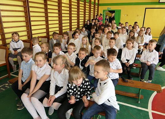 Grafika 11: WIWAT 3 Maj!