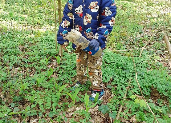 Grafika 2: MALI STRAŻNICY PRZYRODY