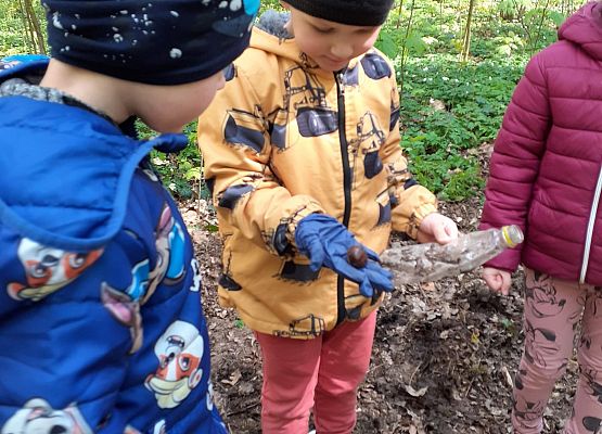 Grafika 3: MALI STRAŻNICY PRZYRODY