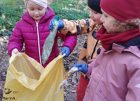 Grafika 5: MALI STRAŻNICY PRZYRODY
