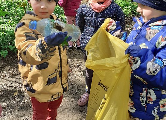 Grafika 1: MALI STRAŻNICY PRZYRODY