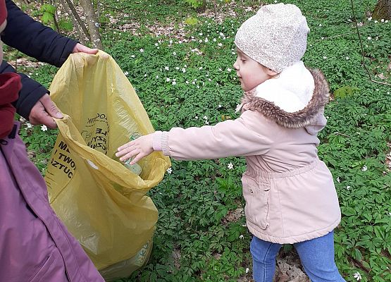 Grafika 11: MALI STRAŻNICY PRZYRODY