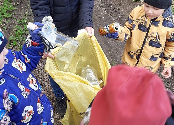 Grafika 13: MALI STRAŻNICY PRZYRODY