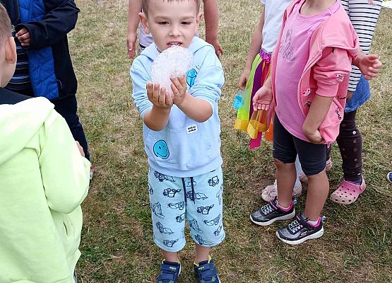 Dzień Dziecka w Janowicach