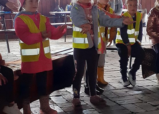 Grafika 6: WYCIECZKA DO RUNOWA