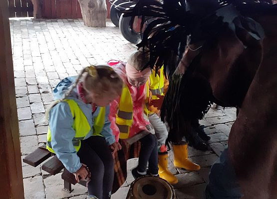 Grafika 24: WYCIECZKA DO RUNOWA