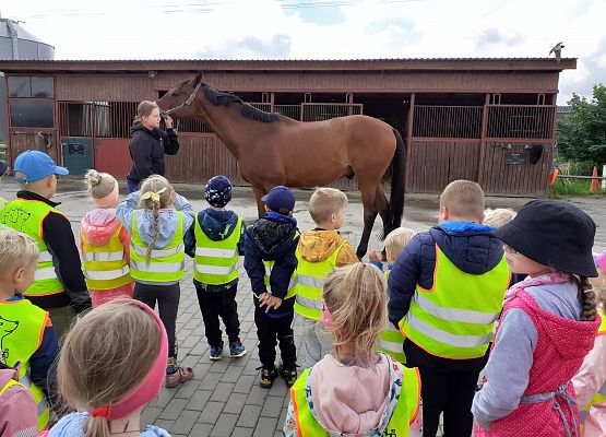 Grafika 55: WYCIECZKA DO RUNOWA