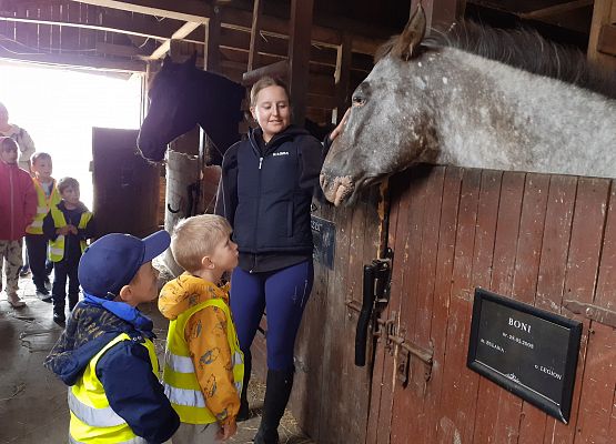 Grafika 56: WYCIECZKA DO RUNOWA