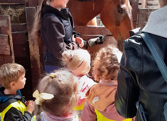 Grafika 58: WYCIECZKA DO RUNOWA