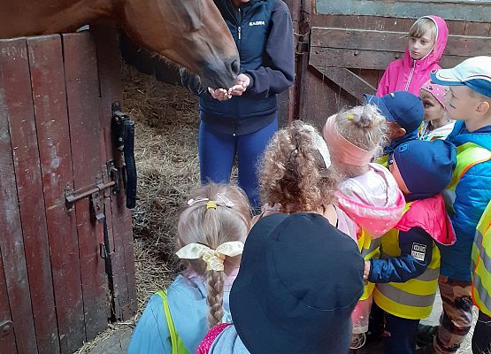 Grafika 60: WYCIECZKA DO RUNOWA