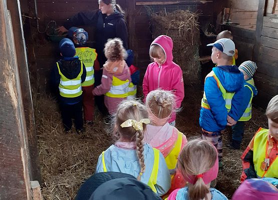 Grafika 62: WYCIECZKA DO RUNOWA