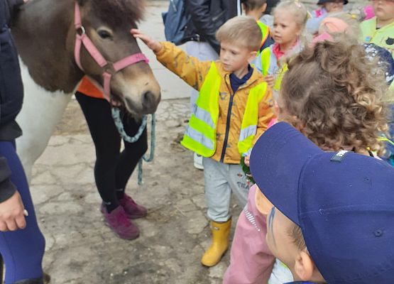 Grafika 64: WYCIECZKA DO RUNOWA