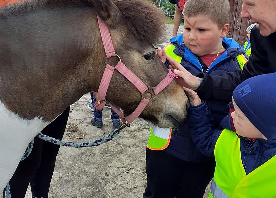 Grafika 65: WYCIECZKA DO RUNOWA