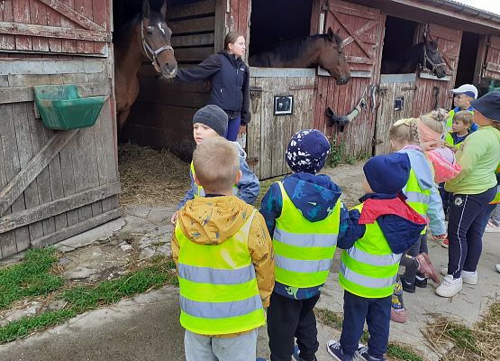 Grafika 66: WYCIECZKA DO RUNOWA