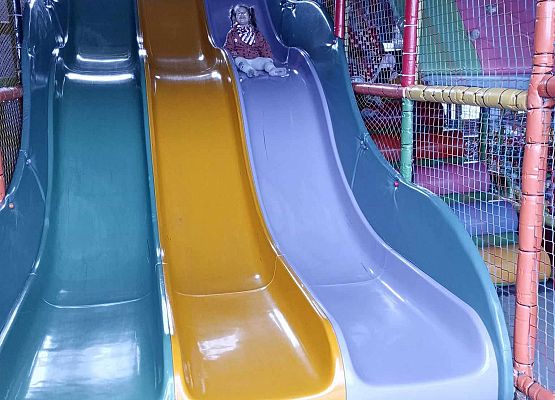 Wycieczka do Grąbkowa