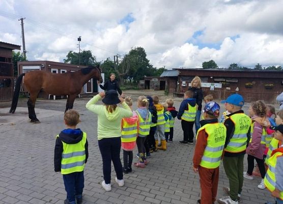 Grafika 8: Wycieczka do Runowa