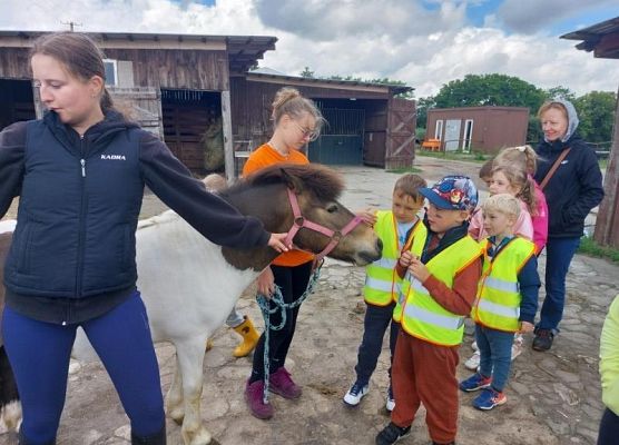 Grafika 13: Wycieczka do Runowa