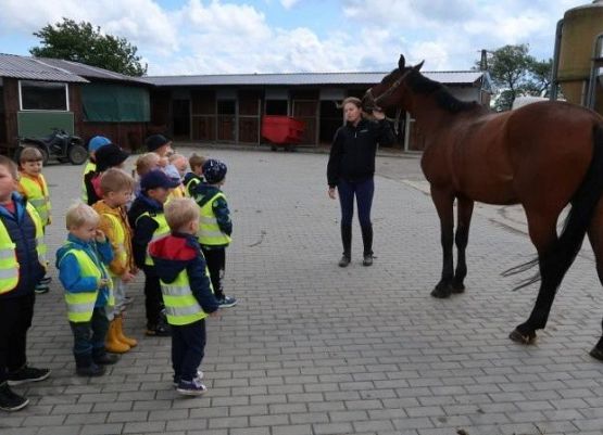 Grafika 37: Wycieczka do Runowa