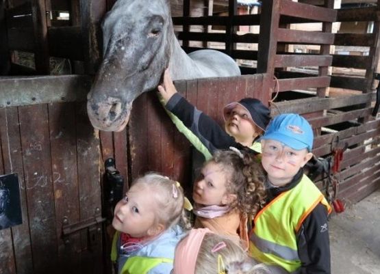 Grafika 40: Wycieczka do Runowa