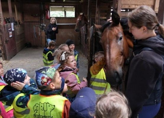 Grafika 42: Wycieczka do Runowa