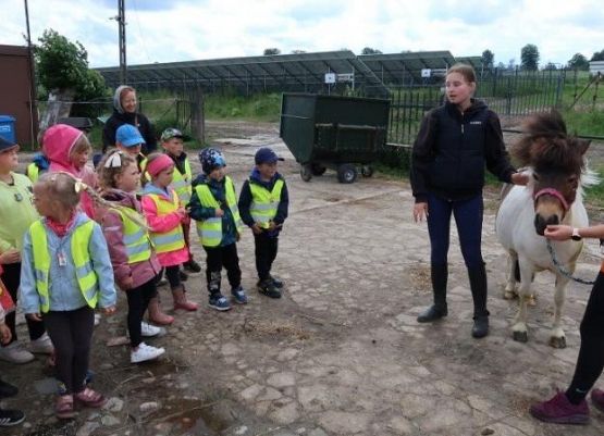 Grafika 49: Wycieczka do Runowa