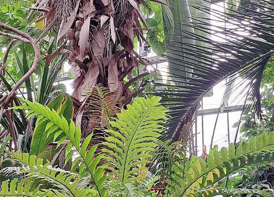 Wycieczka klasy ósmej z Garczegorza do Poznania w czerwcu 2024roku.