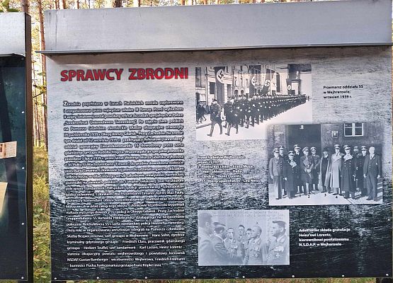 Żywa lekcja historii na temat Zbrodni w Lesie Piaśnickim