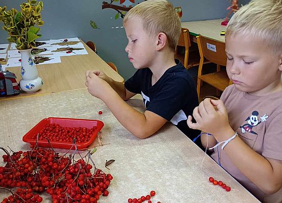 Prace grupy starszej