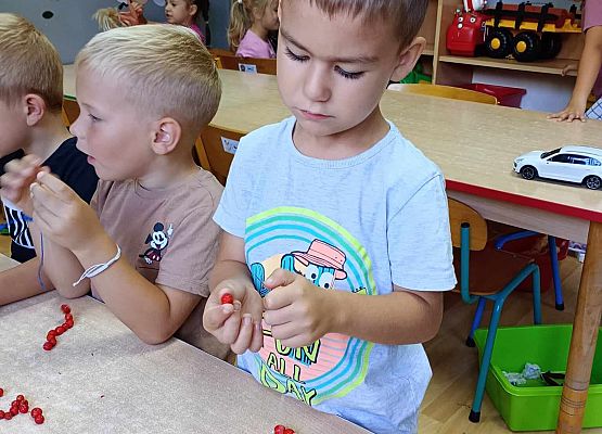 Prace grupy starszej