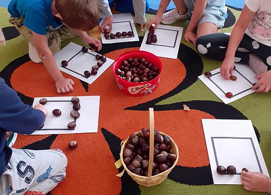 Grafika 3: ZABAWY Z KASZTANAMI