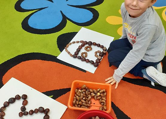 Grafika 1: ZABAWY Z KASZTANAMI