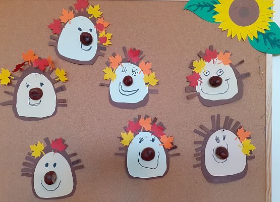 Grafika 11: GALERIA PRACUSIÓW