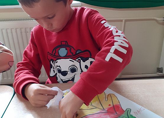 Grafika 8: GALERIA PRACUSIÓW