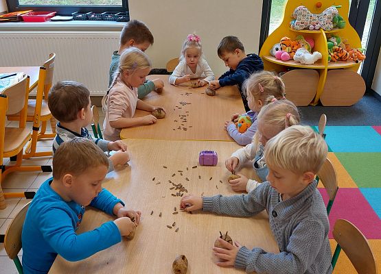 Grafika 3: KOLOROWA JESIEŃ