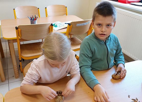 Grafika 4: KOLOROWA JESIEŃ