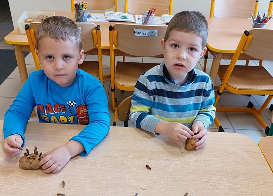 Grafika 5: KOLOROWA JESIEŃ