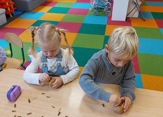 Grafika 6: KOLOROWA JESIEŃ