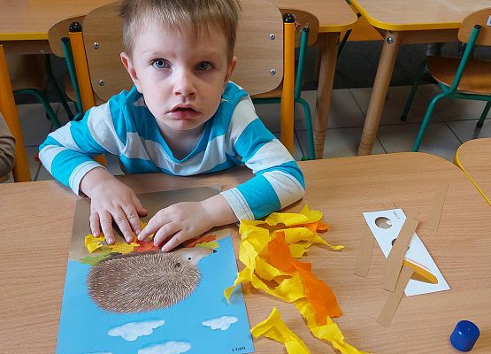 Grafika 13: KOLOROWA JESIEŃ