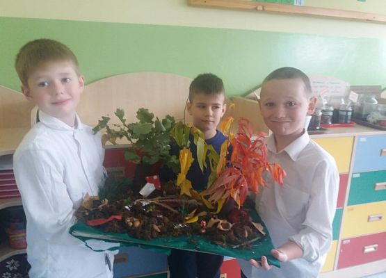 Grafika 3: MAKIETA LASU